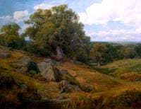 Raven Hill, Charnwood Forest, Leicestershire