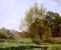 Bibury, Fishponds