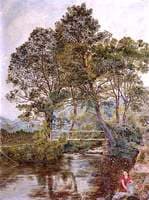 A Calm Welsh Stream