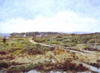 A Day's Sport at Bidston Hill