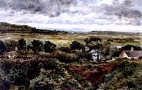 Bidston Marsh