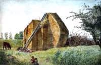 The Haystack