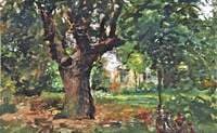 Tree Study