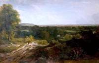 Wooded Landscape