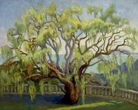 Pepper Tree, Rezzolla, Pugliola, Italy