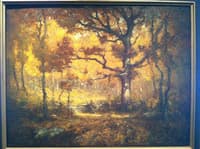 Autumn Woodlands