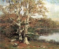 Pasture Oaks