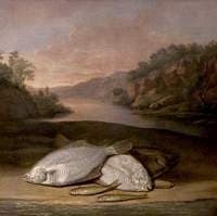 Flounders and Smelts