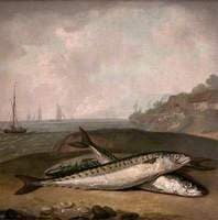 Mackerel on a Dorset Shore with the Golden Cap in the Background