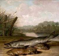 Pike, Tench and Chub