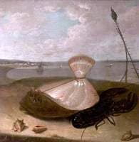 Turbot, Lobster and Sea Shells, in the Thames Estuary