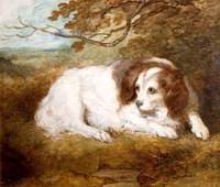 The Dog Dido