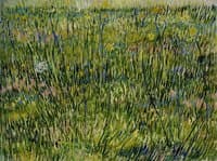 Patch of Grass