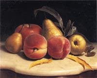Still Life