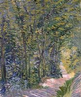 A Path in the Woods