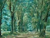 The Avenue, Woodbridge