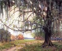 A Carolina Vista