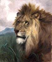 A Lion