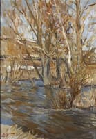 Trees in Spring