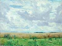 A Wheat Field