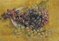 Grapes