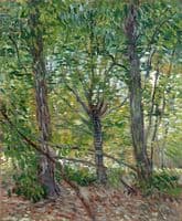 Trees