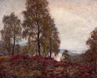 Highland Landscape
