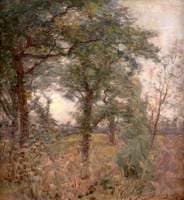 Woodland Scene