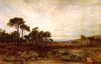 Glen Dee Deer Forest
