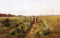 In the Berry Field