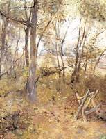 A Wood