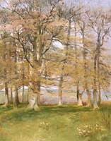 Budding Elms in April, Mayfield