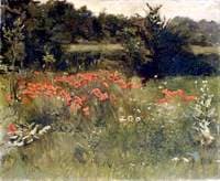 Poppies
