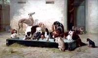 Table d'Hote at a Dogs' Home