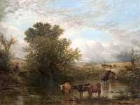 Cattle in a Pool