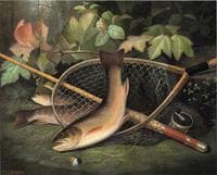 Trout