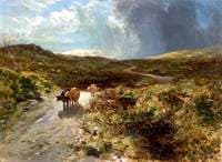 The Drove Road