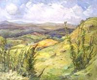 Hilly Landscape