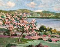 Cherry Blossom