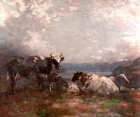 Cattle Resting