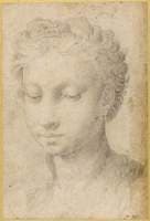 Head of a Woman Looking Down