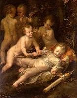 Sleeping Cupid