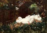 Ducks and Ducklings