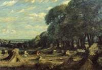 The Cornfield
