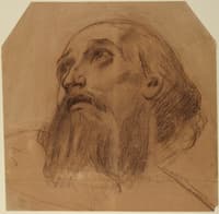 Head of a Bearded Saint Looking Up