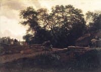 The Edge of the Forest