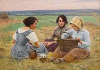 Lunch Break in the Fields