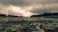 The Lily Pond