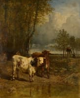 Cattle at a Watering Hole