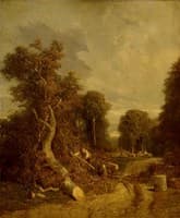 Forest Clearing